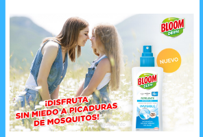 Sorteo Heineken Bloom