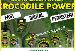 SORTEO TU CASA CLUB PATTEX