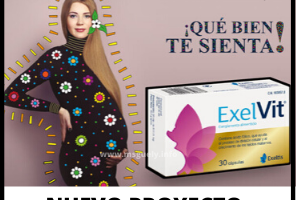 Proyecto Trnd