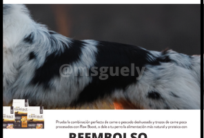 Nuevo reembolso