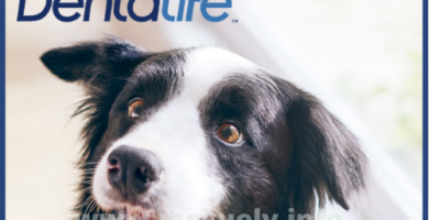 PurinaDentalife gratis