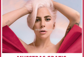 Muestra Gratis Valentino