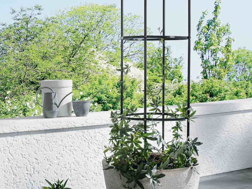 torre plantas trepadoras