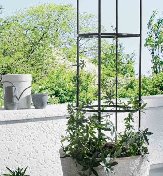 torre plantas trepadoras