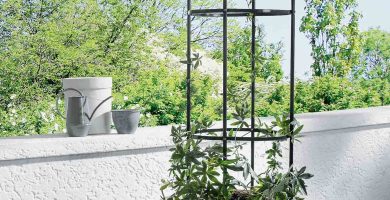 torre plantas trepadoras